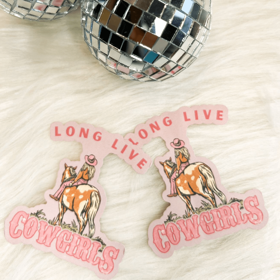 Cute Stickers, Waterproof , Car Stickers, Tumbler Stickers (Cow Girl)