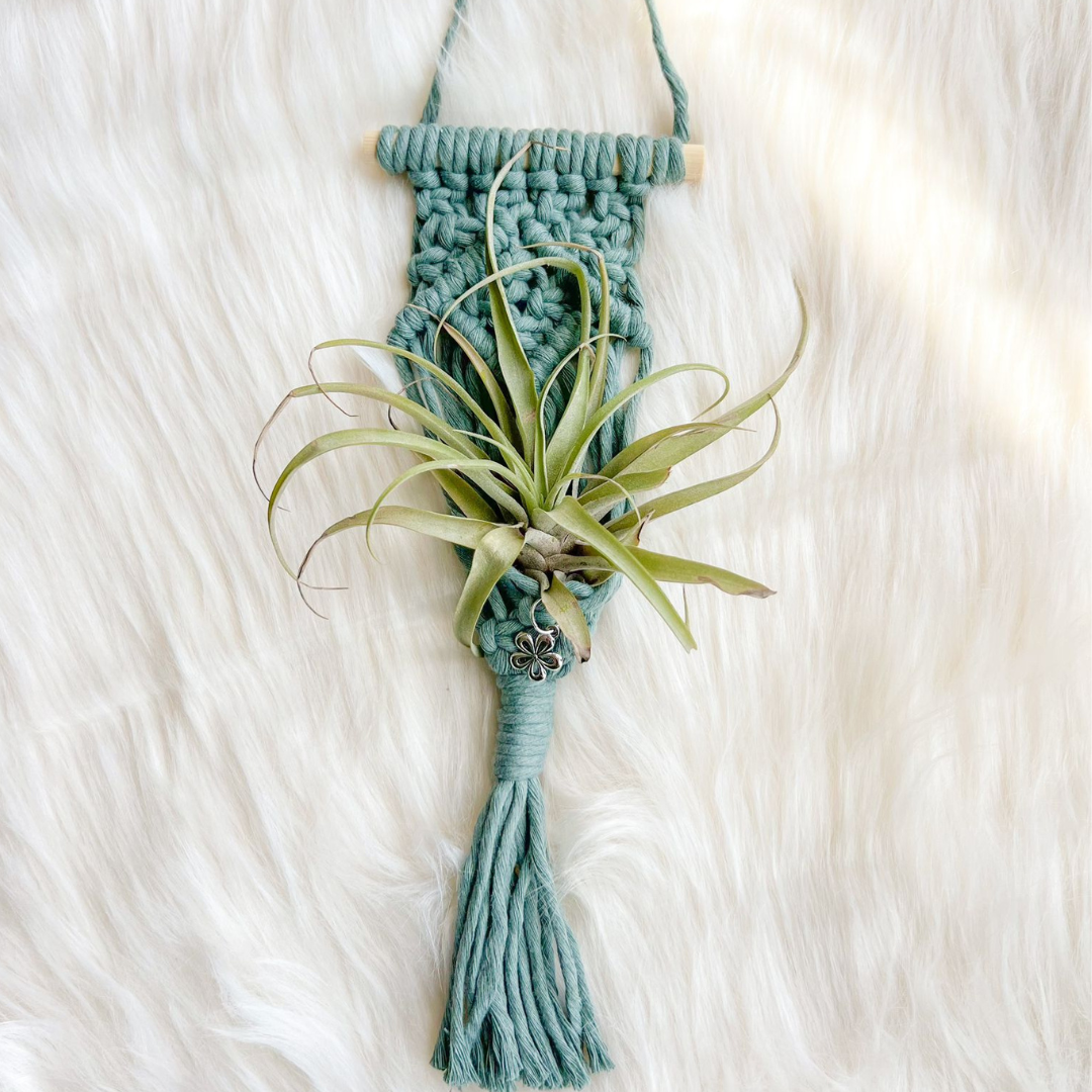 Macrame Air Plant Holder , Cute Handmade for your Home, Aesthetic Plant Hanger