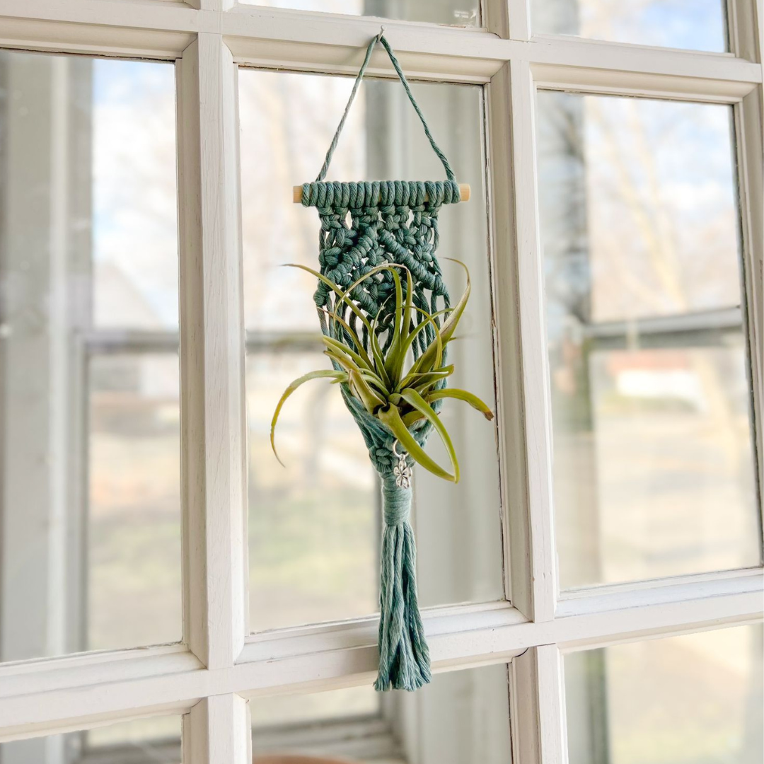 Macrame Air Plant Holder , Cute Handmade for your Home, Aesthetic Plant Hanger