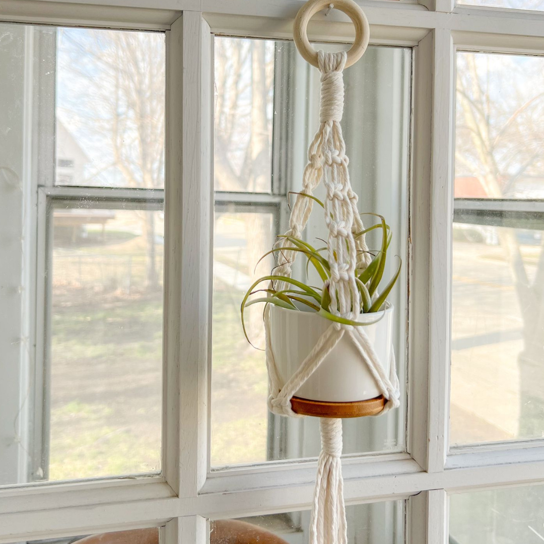 Succulent Plant Hanger Macrame, ( Includes Ceramic Pot) , Cute Handmade for your Home, Aesthetic Plant Hanger,