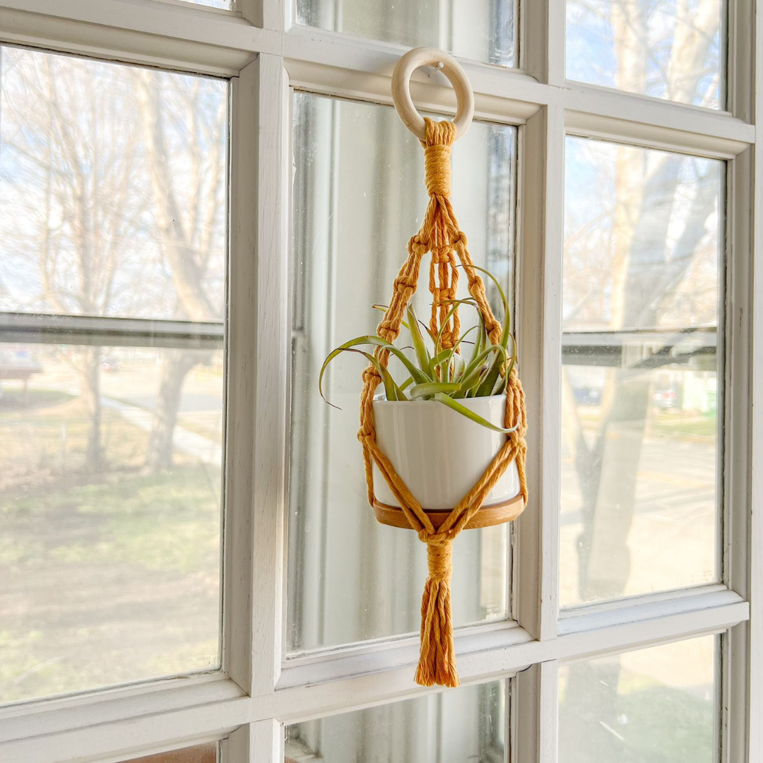 Succulent Plant Hanger Macrame, ( Includes Ceramic Pot) , Cute Handmade for your Home, Aesthetic Plant Hanger,