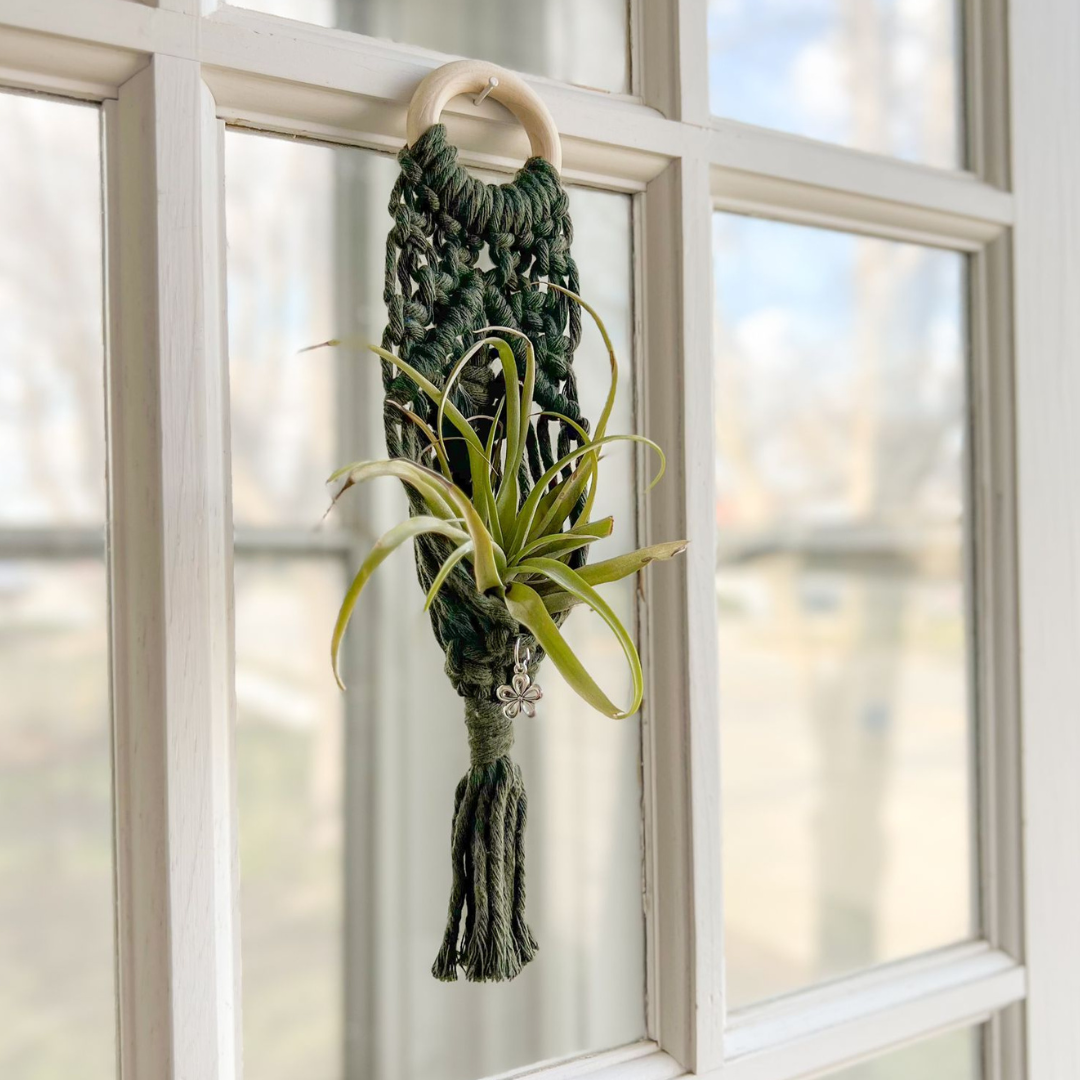 Macrame Air Plant Holder , Cute Handmade for your Home, Aesthetic Plant Hanger