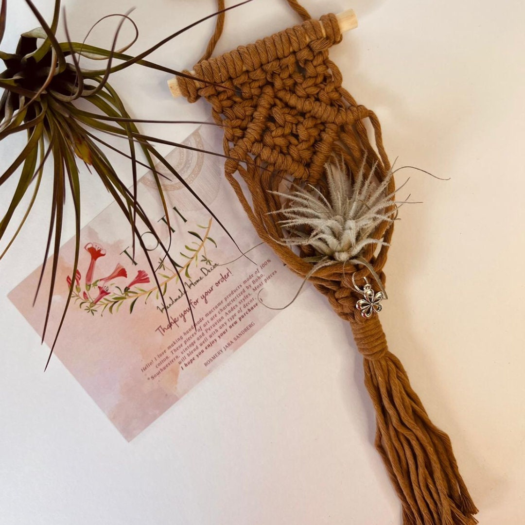 Macrame Air Plant Holder , Cute Handmade for your Home, Aesthetic Plant Hanger
