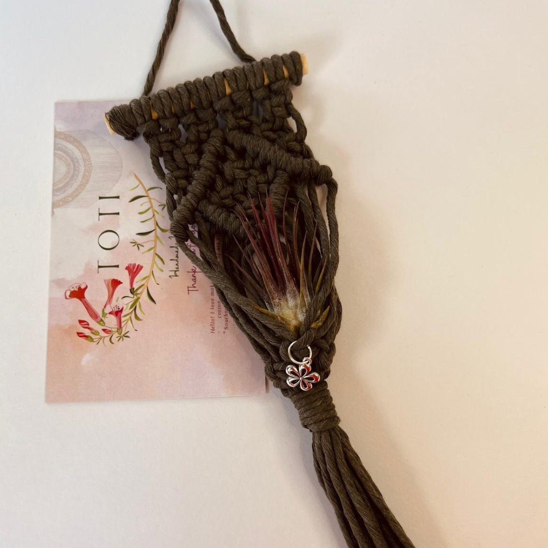 Macrame Air Plant Holder , Cute Handmade for your Home, Aesthetic Plant Hanger