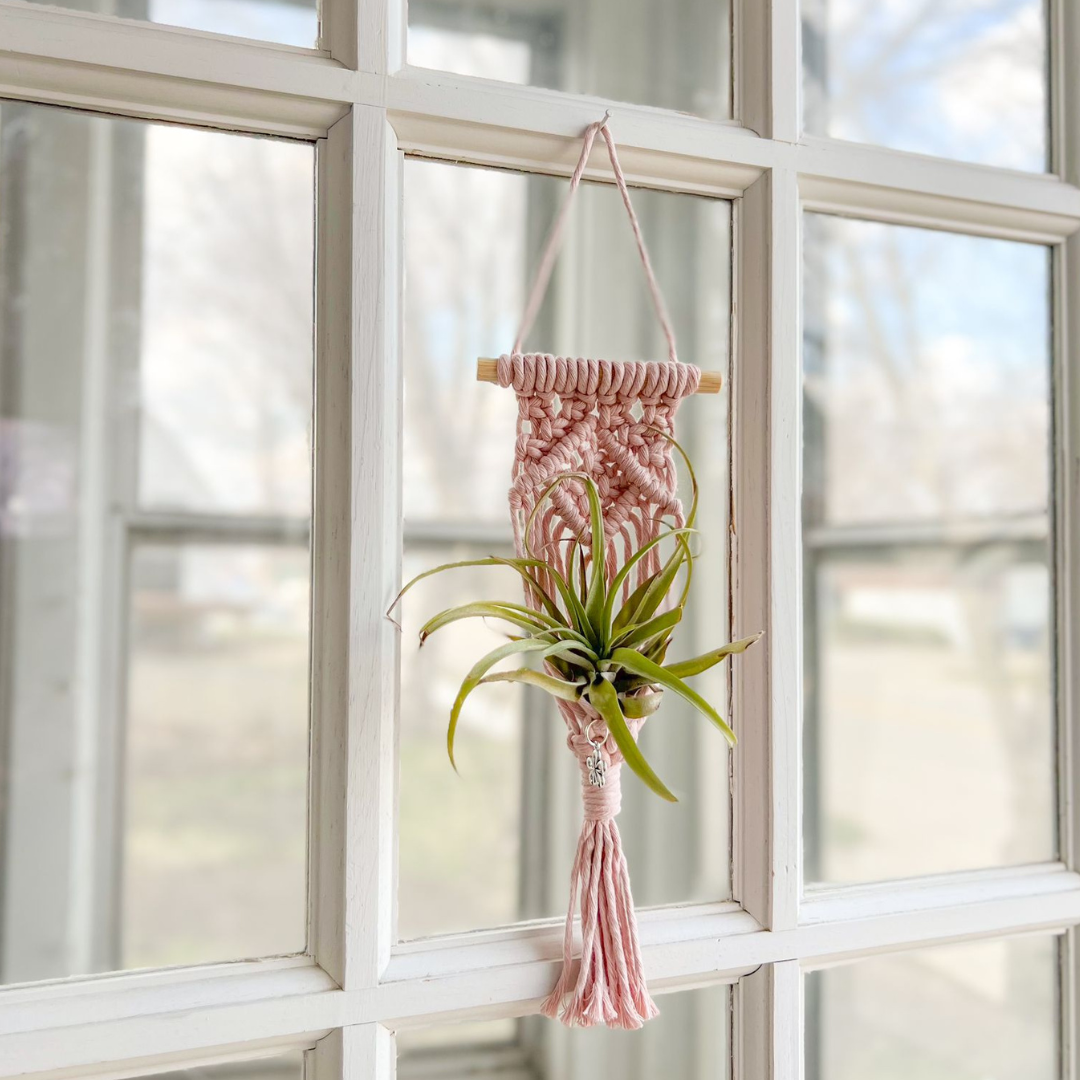 Macrame Air Plant Holder , Cute Handmade for your Home, Aesthetic Plant Hanger