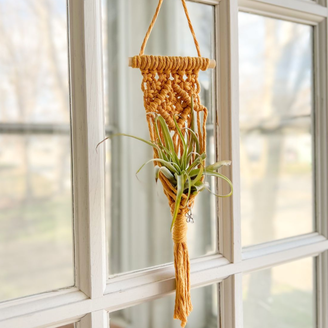 Macrame Air Plant Holder , Cute Handmade for your Home, Aesthetic Plant Hanger