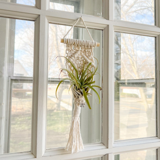 Macrame Air Plant Holder , Cute Handmade for your Home, Aesthetic Plant Hanger