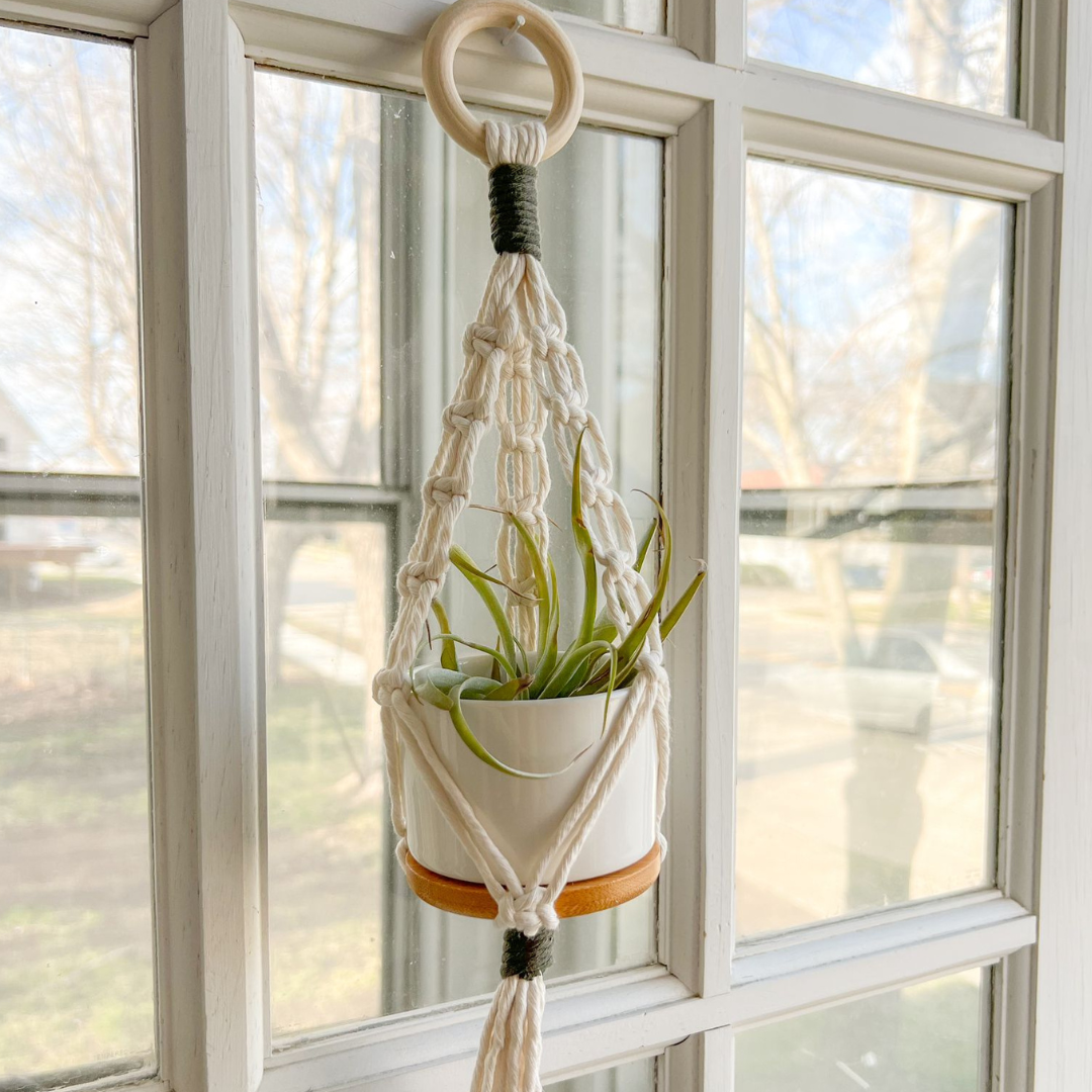 Succulent Plant Hanger Macrame, ( Includes Ceramic Pot) , Cute Handmade for your Home, Aesthetic Plant Hanger,
