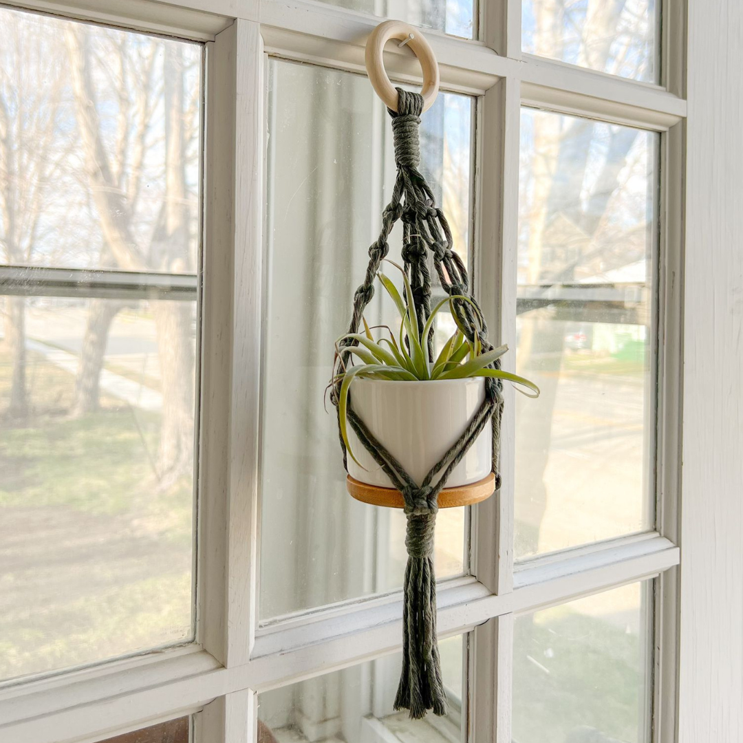 Succulent Plant Hanger Macrame, ( Includes Ceramic Pot) , Cute Handmade for your Home, Aesthetic Plant Hanger,
